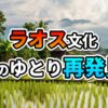 ラオスの水田と高床式家屋が並ぶ村の穏やかな風景。遠景には霞む山々。画像には「ラオス文化 心のゆとり再発見」のテキストオーバーレイ。