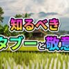 ラオスの水田と伝統的な高床式家屋の風景に、「知るべきタブーと敬意」というカラフルな文字が重なる画像です。ラオス旅行での食事マナーや文化への敬意について解説する記事のアイキャッチ画像。