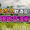 「ラオス飲酒文化 現地交流術」のテキストがオーバーレイされた、水田と伝統家屋が広がるラオスの田園風景。遠くに山々が見える。
