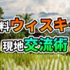 ラオスの水田が広がる田園風景。伝統的な高床式家屋、ヤシの木、遠景の山々。「無料ウイスキー 現地交流術」の文字を強調。