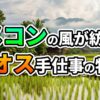 「メコンの風が紡ぐラオス手仕事の物語」の文字が書かれた、ラオスの広大な田園風景。青々とした水田、藁葺き屋根の高床式住居、遠くの山々が霞む景色。