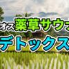 ラオスの豊かな田園風景を背景に、高床式家屋が点在し、緑の稲が広がる中、「ラオス薬草サウナ 極上デトックス体験」と書かれています。