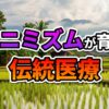 ラオスの水田と伝統的な高床式家屋を背景に、「アニミズムが育む伝統医療」の文字が重ねられた風景写真。モン族のハーブ療法を象徴しています。