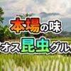ラオスの田園風景を背景に、「本場の味 ラオス昆虫グルメ」と書かれたロゴ。高床式家屋や水田、遠くには山々が見え、現地での昆虫食体験への期待感を高めるビジュアルです。