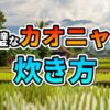 ラオスの美しい田園風景と高床式住居を背景に、「完璧なカオニャオ 炊き方」と書かれた文字が重ねられた画像。青々とした水田が広がり、遠くには山々が見えます。