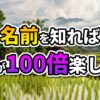 ラオスの棚田が広がる村の美しい風景。手前には水面に反射する緑の稲、奥には伝統的な高床式家屋、ヤシの木、そして霞む山々が見えます。中央には「名前を知れば旅が100倍楽しい」というキャッチフレーズが大きく表示されています。