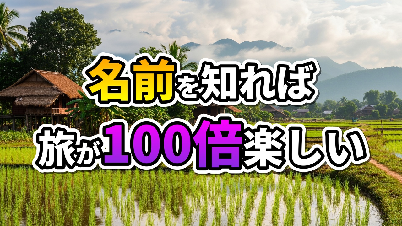 ラオスの棚田が広がる村の美しい風景。手前には水面に反射する緑の稲、奥には伝統的な高床式家屋、ヤシの木、そして霞む山々が見えます。中央には「名前を知れば旅が100倍楽しい」というキャッチフレーズが大きく表示されています。