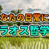 水田と高床式家屋が広がるラオスの田園風景。その上に「あなたの日常にも ラオス哲学」という文字が重ねられています。