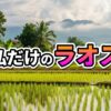 ラオスの水田と伝統的な高床式住居の田園風景。遠くに霞む山々と「私だけのラオス」の文字が心安らぐ旅を想像させます。