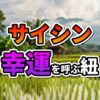 ラオスの棚田と高床式住居が広がる田園風景に、「サイ・シン 幸運を呼ぶ紐」というキャッチフレーズが重なる画像です。