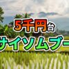 ラオスのサイソムブーン県の田園風景と伝統家屋。手前に水田、奥に山々が広がり、「5千円台 秘境サイソムブーン」の文字が重なる。