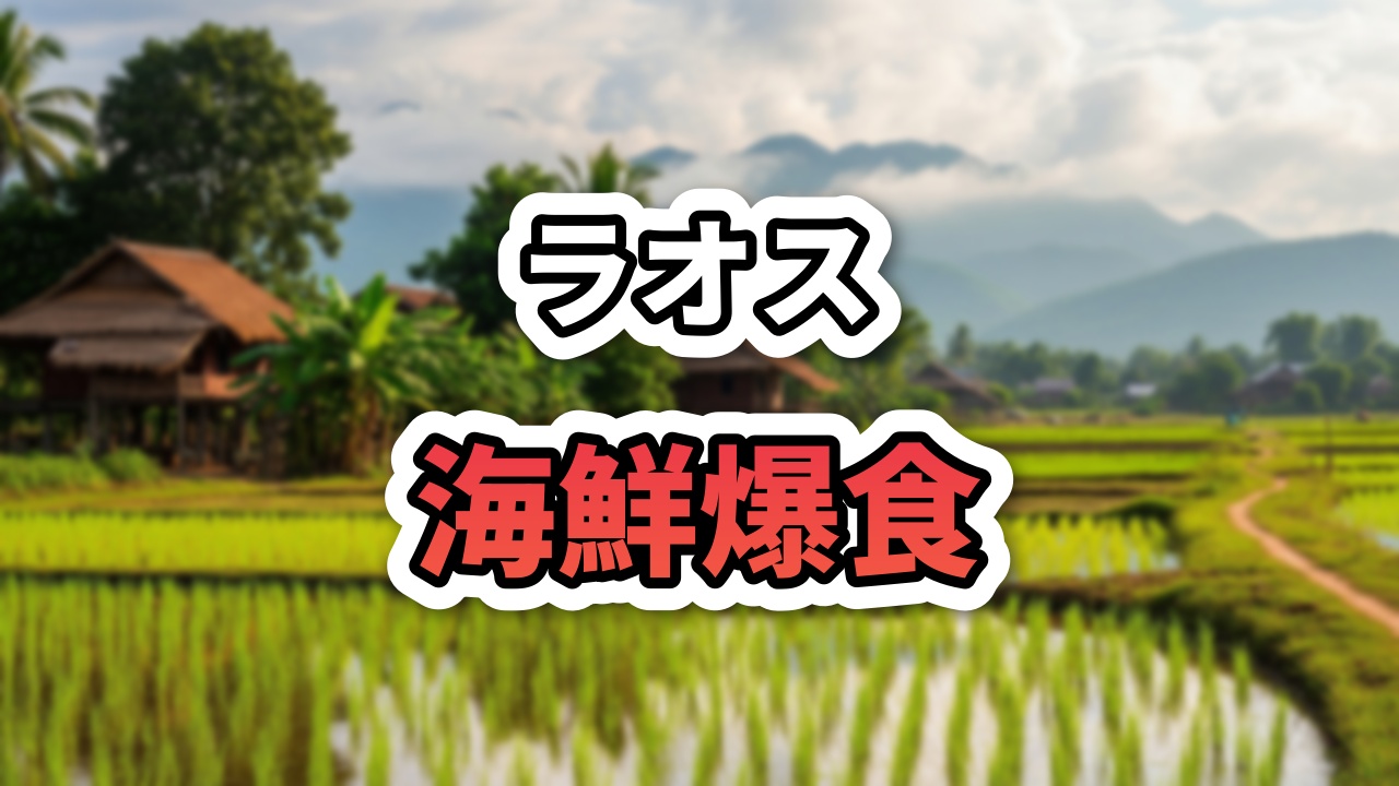 【ラオス】ビエンチャンで海鮮食べ放題！「タオケーノイ」のサーモン＆エビが衝撃価格すぎた件