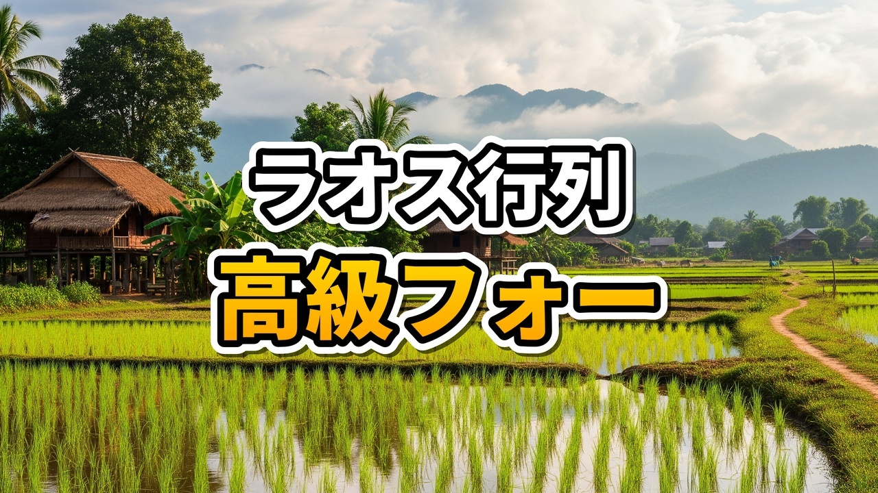 ラオス・ビエンチャンのレストランPho Homeで提供される具沢山の牛肉フォーとハーブ