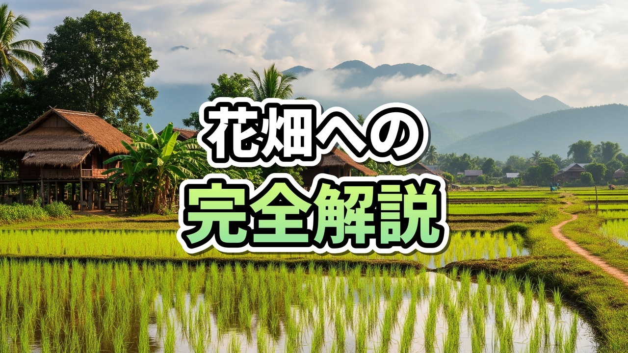 ラオスの青空の下、中国ラオス鉄道の高架橋を背景に広がるスアン・メーヤーの美しい花畑と竹の柵